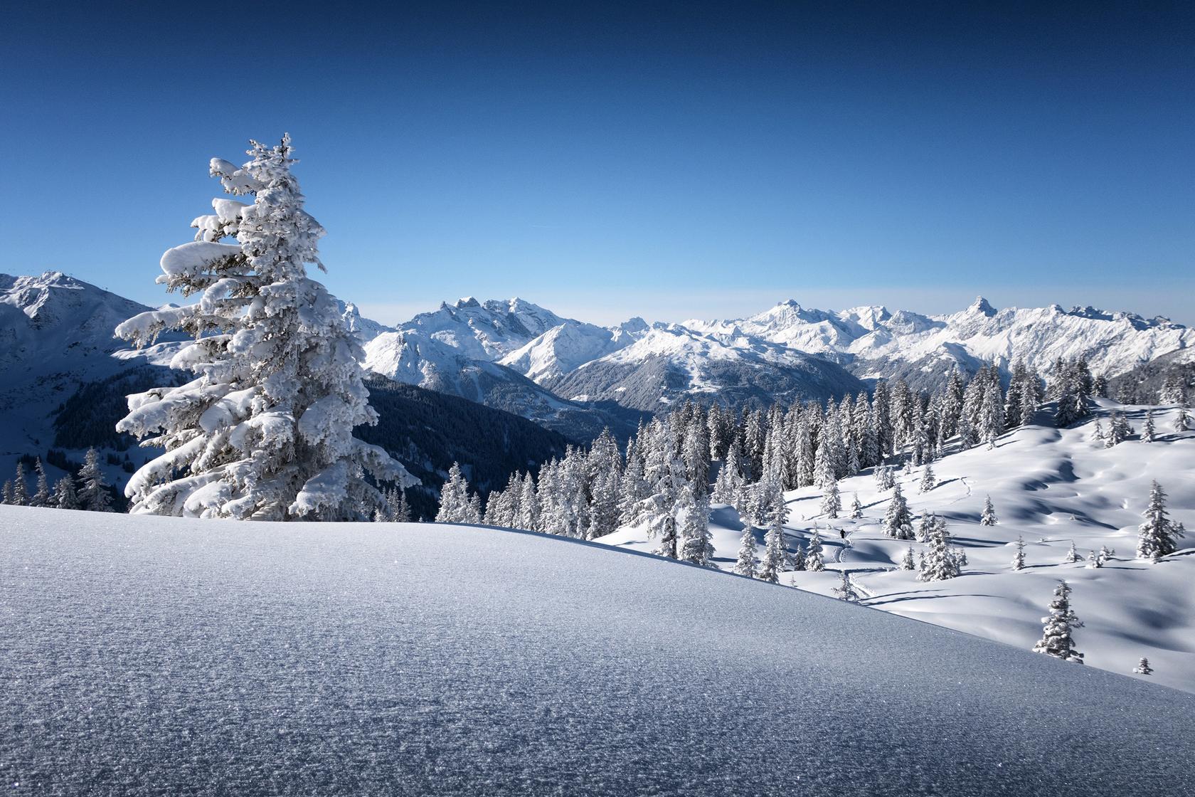 Weiße Winterlandschaft im Montafon während einer Schneeschuhwanderung auf das Muttjöchle