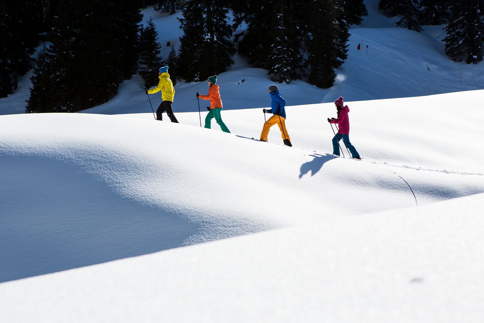 Skitourengehen im Schnee